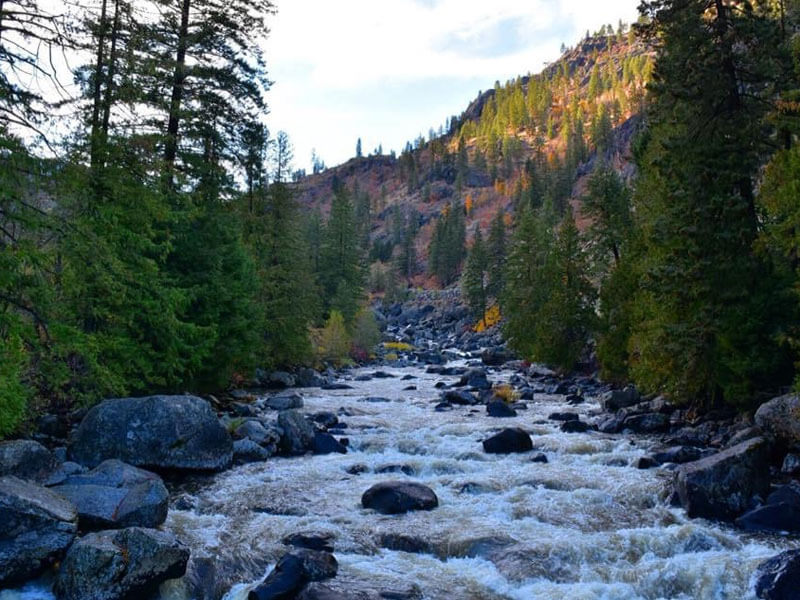 Nature